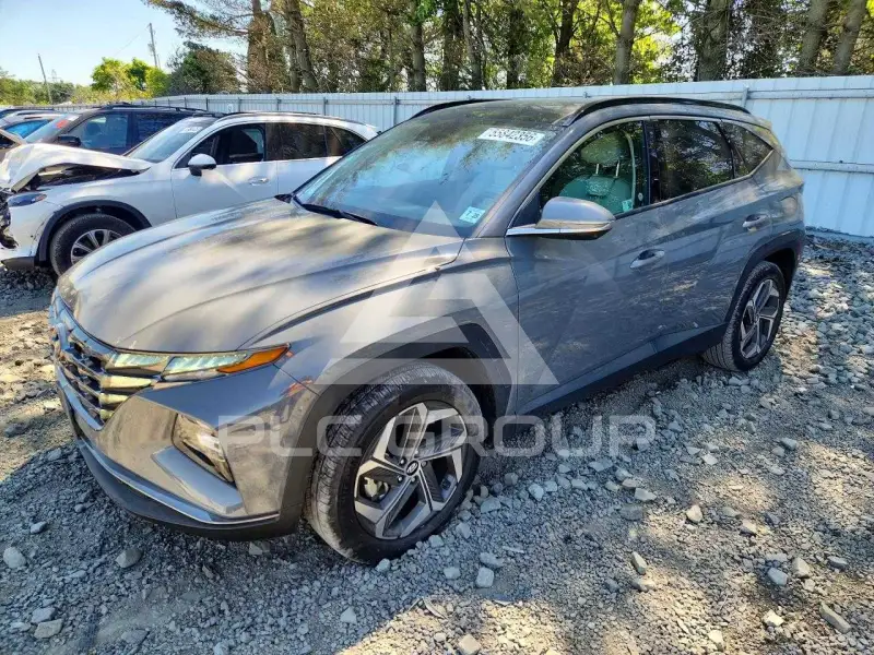 2024 Hyundai Tucson photo