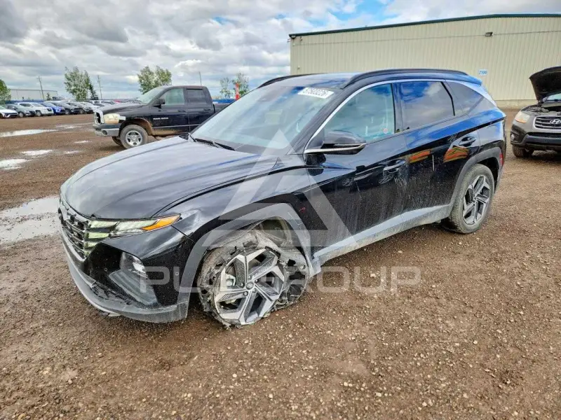2024 Hyundai Tucson фото
