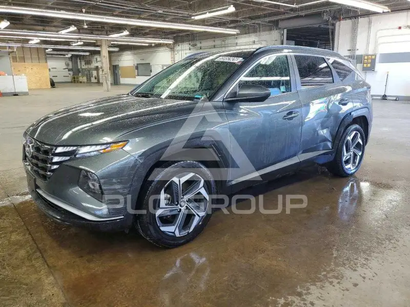 2024 Hyundai Tucson photo