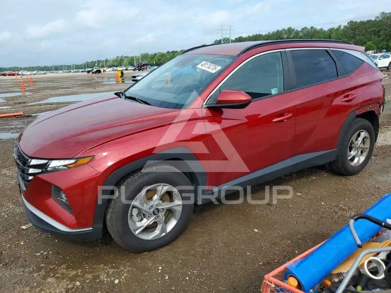 2024 Hyundai Tucson photo