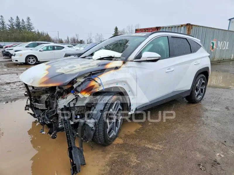 2024 Hyundai Tucson фото