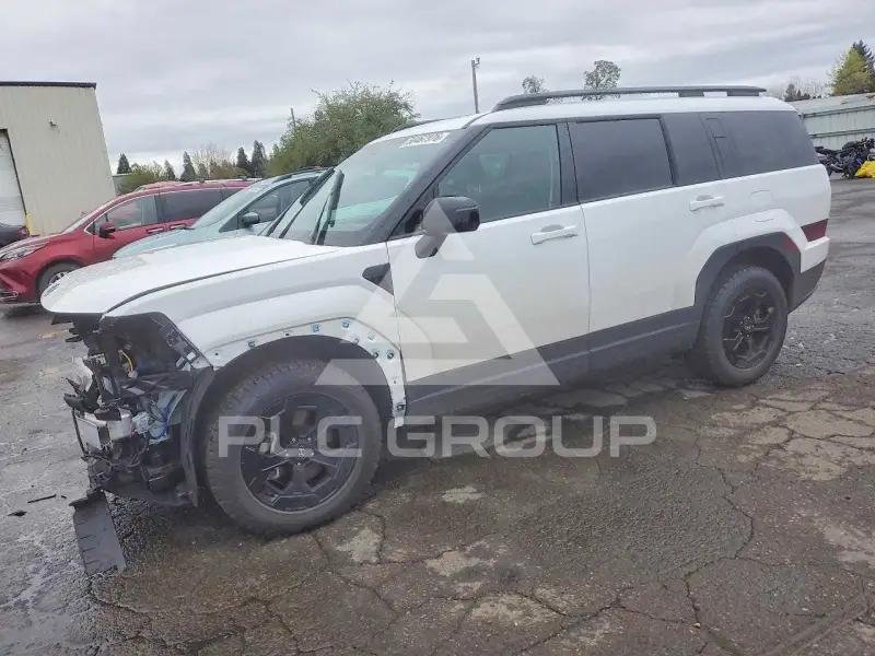 2024 Hyundai Santa Fe photo