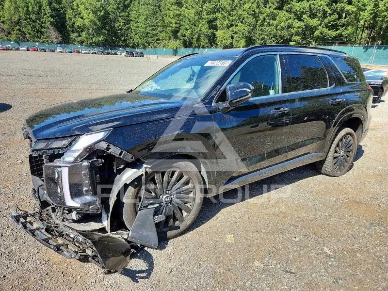 2024 Hyundai Palisade фото
