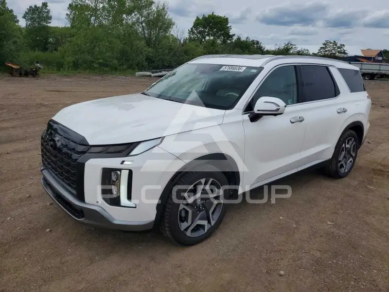 2024 Hyundai Palisade фото