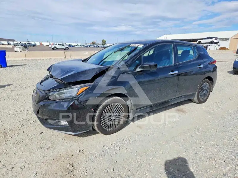 2025 Nissan LEAF photo