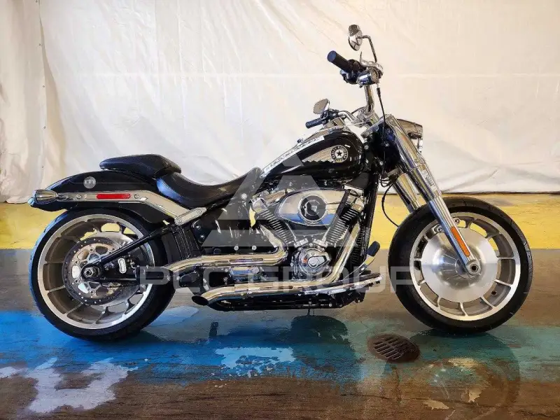 2025 Harley-Davidson FL фото