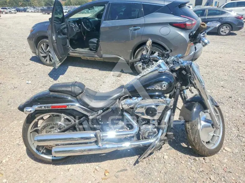 2025 Harley-Davidson FL фото