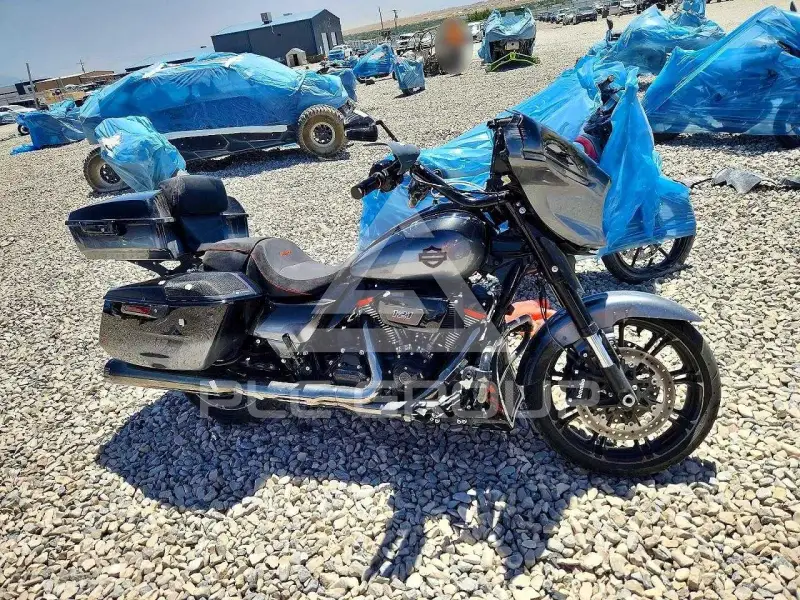 2025 Harley-Davidson FLSE фото
