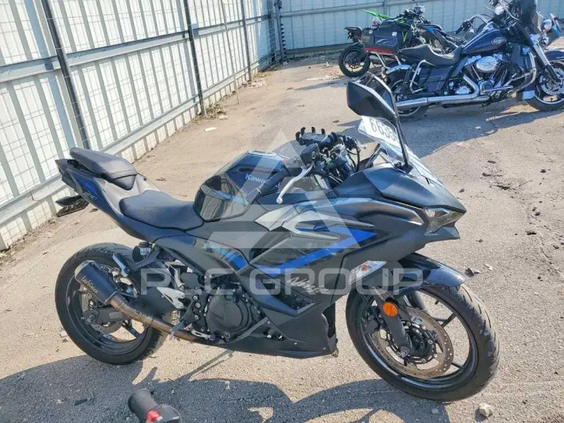 2025 Kawasaki  фото