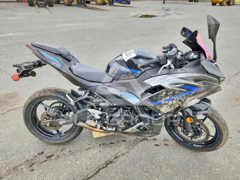 2025 Kawasaki  фото