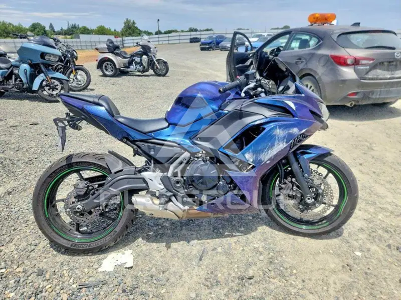 2025 Kawasaki  фото