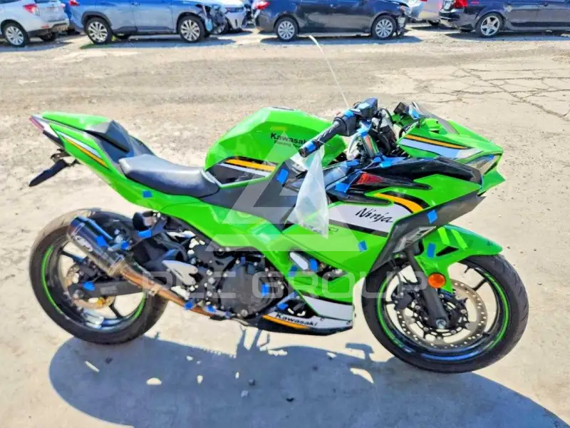 2025 Kawasaki  фото