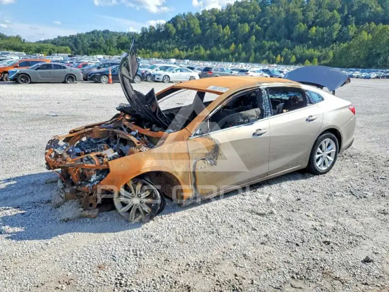 2025 Chevrolet Malibu фото