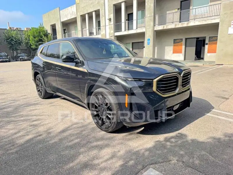 2025 BMW XM фото