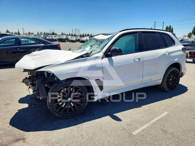 2025 BMW X5 photo
