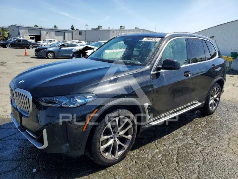 2025 BMW X5 photo