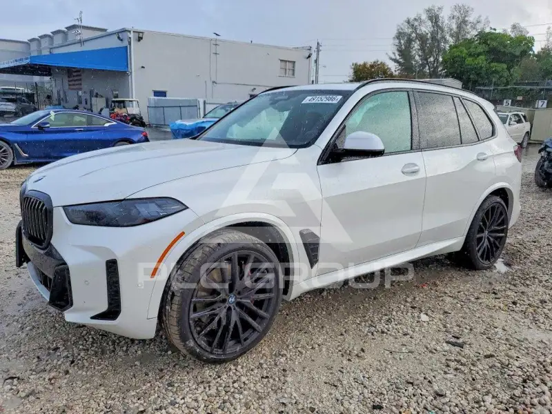 2025 BMW X5 photo