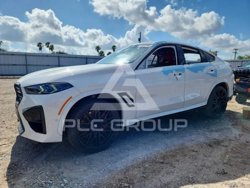 2025 BMW X6 photo