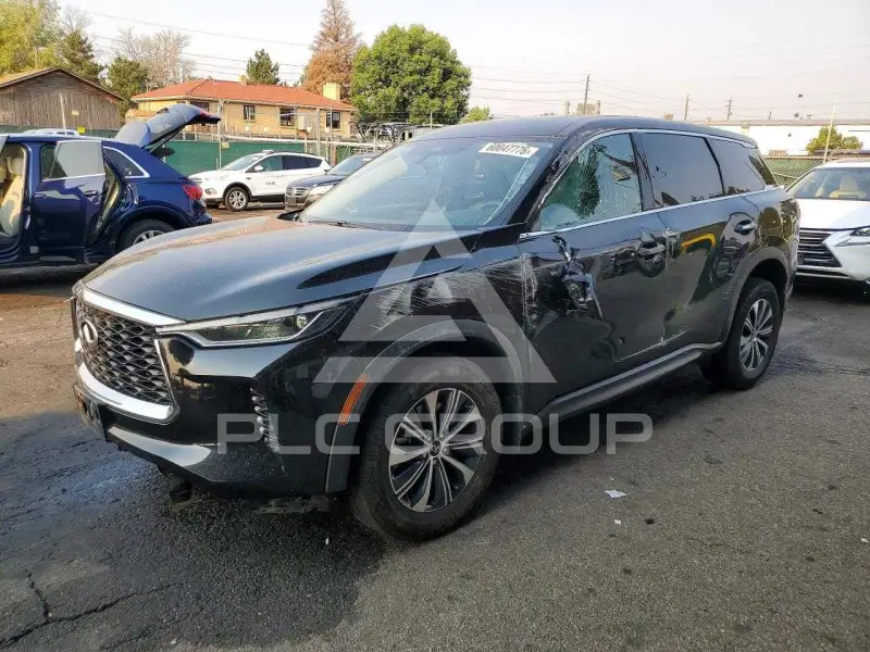 2025 Infinity QX60 photo