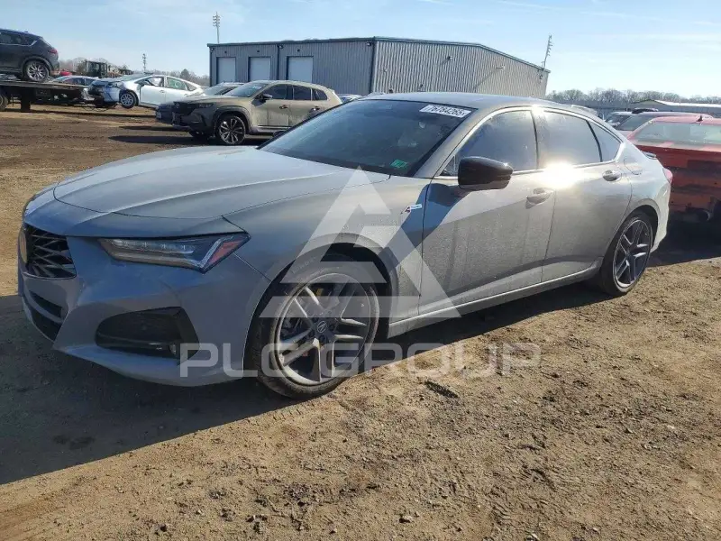 2025 Acura TLX photo