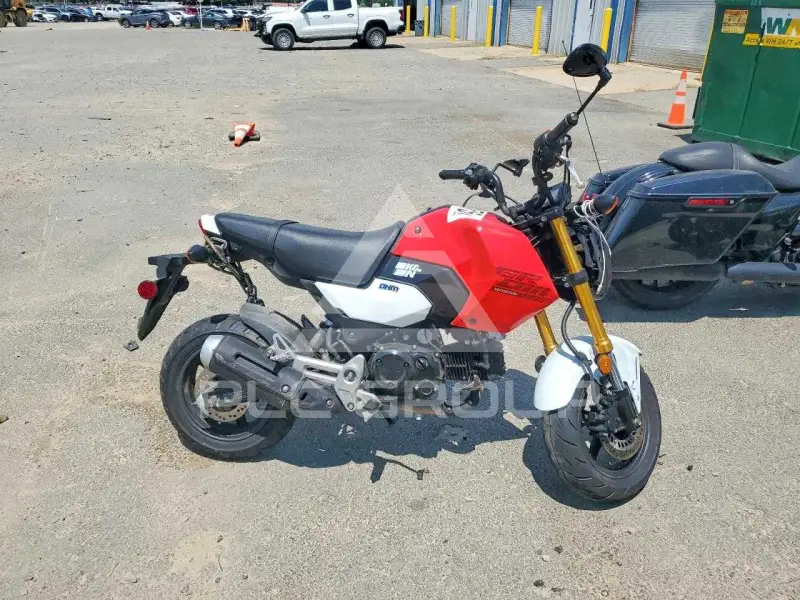 2025 Honda GROM photo