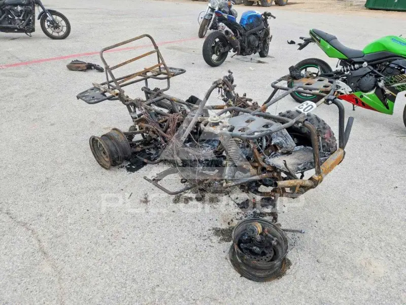 2025 Honda Unknown photo