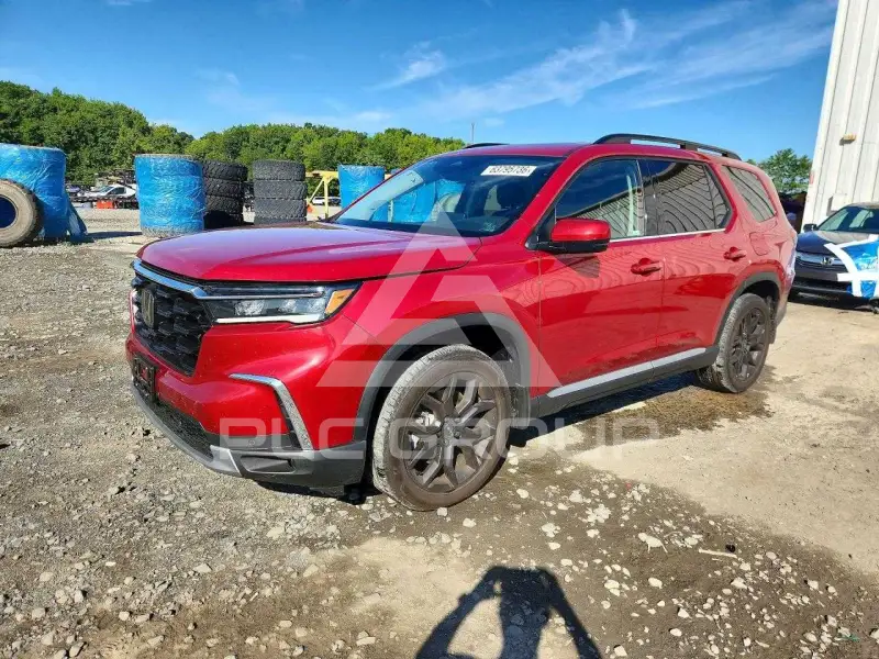 2025 Honda PILOT фото