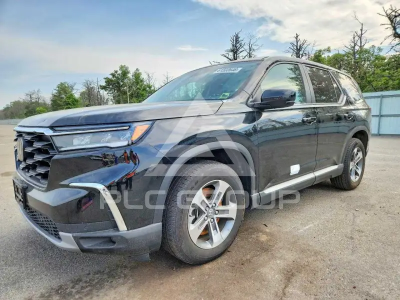 2025 Honda PILOT фото