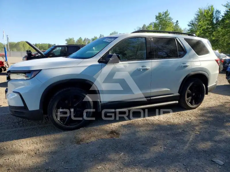 2025 Honda PILOT photo