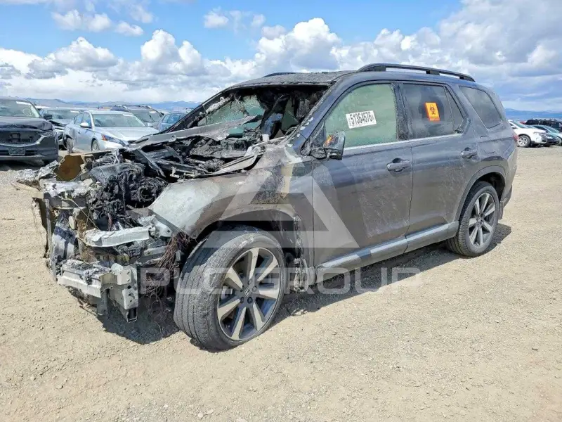2025 Honda PILOT photo