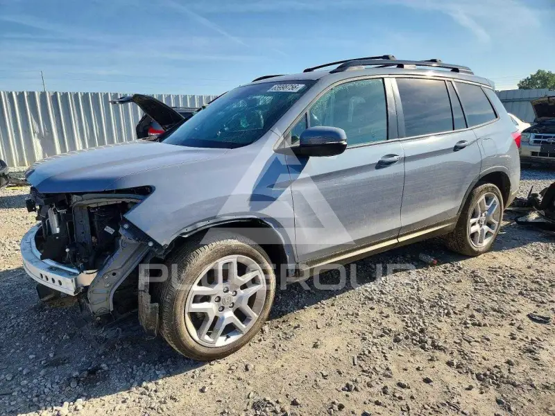 2025 Honda PASSPORT photo