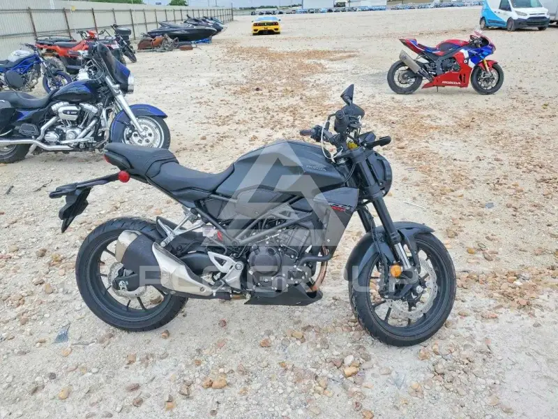 2025 Honda CB photo