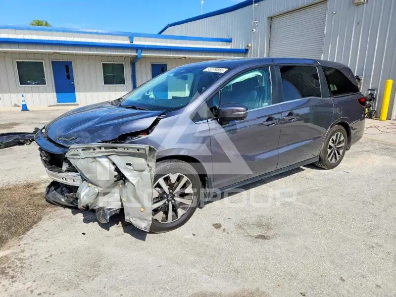 2025 Honda ODYSSEY фото