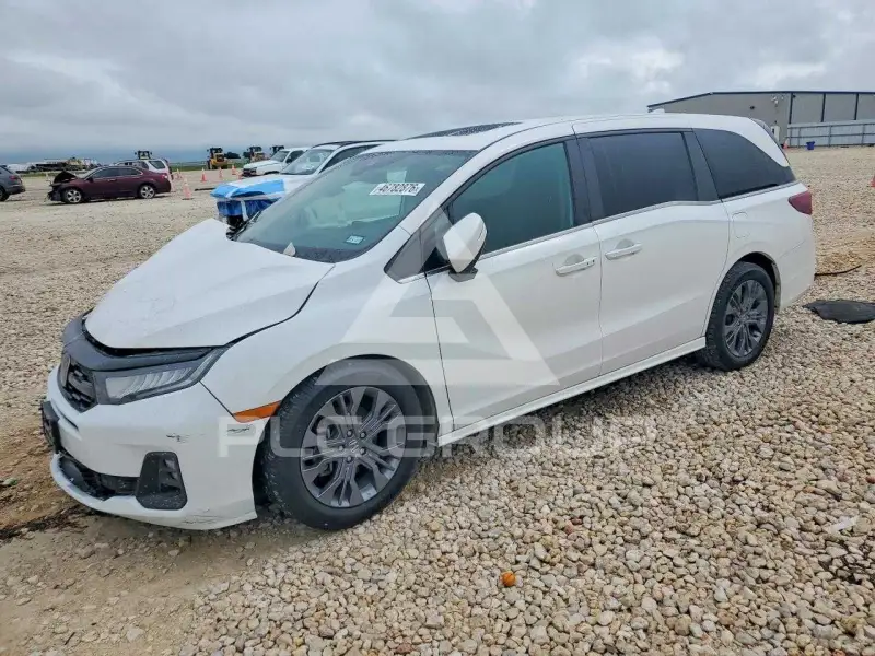 2025 Honda ODYSSEY фото