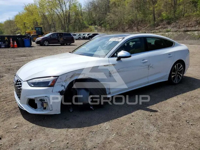 2025 Audi S5 photo