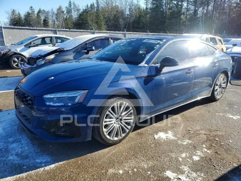 2025 Audi S5 фото