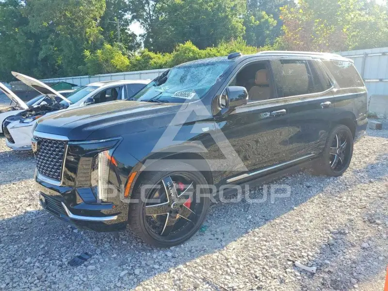 2025 Cadillac ESCALADE фото