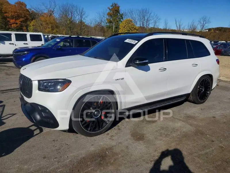 2025 Mercedes Benz GLS-Class photo