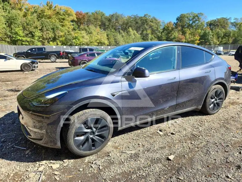 2025 Tesla Model Y фото