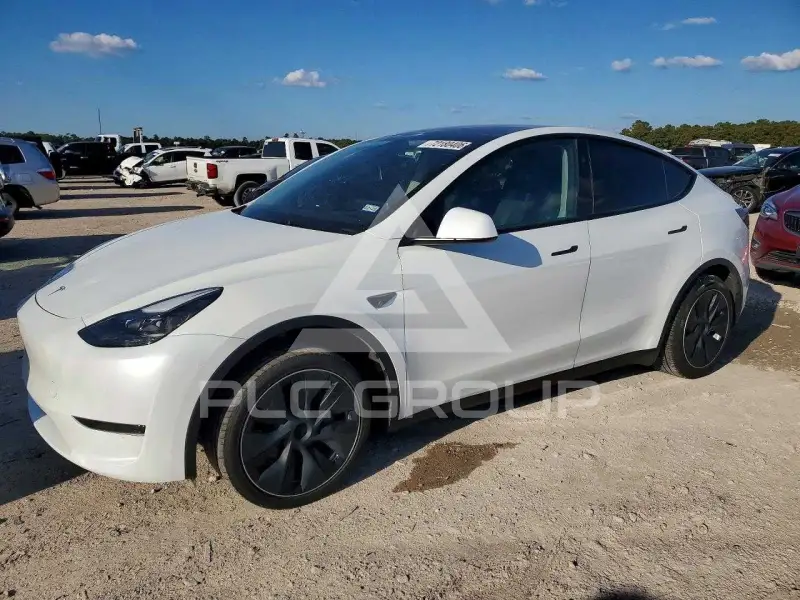 2025 Tesla Model Y фото