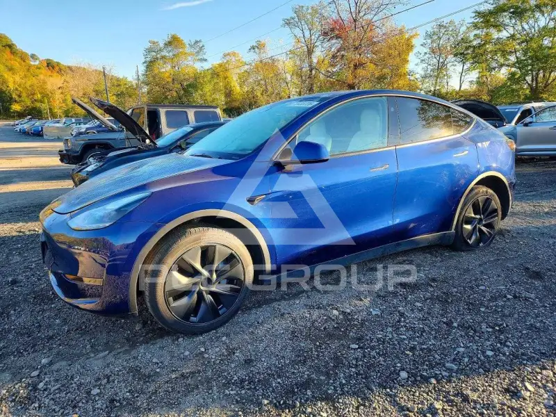 2025 Tesla Model Y фото
