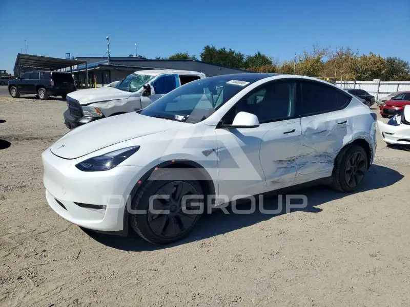 2025 Tesla Model Y photo