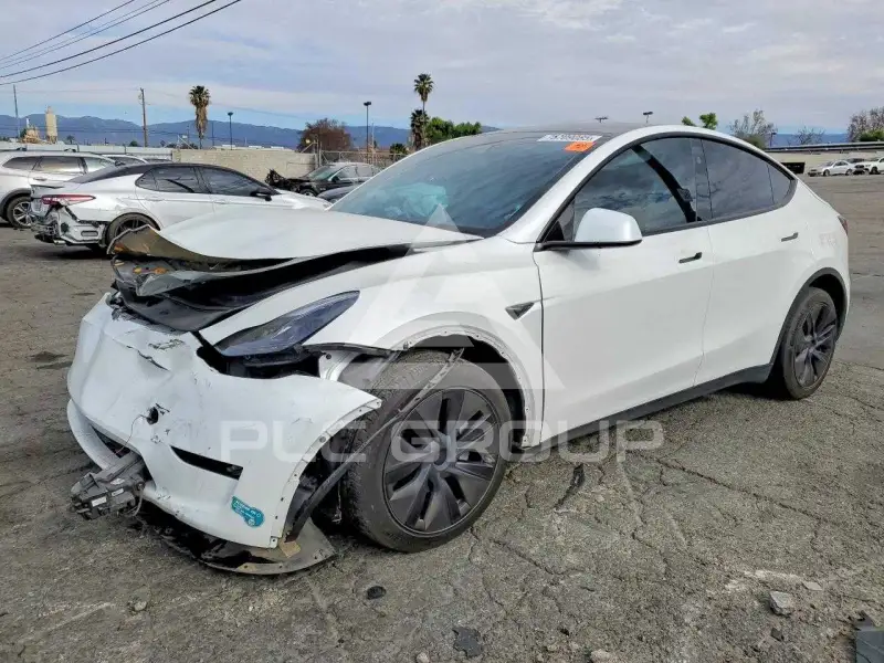 2025 Tesla Model Y photo