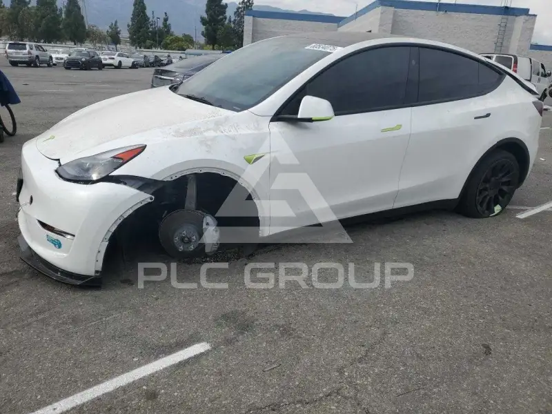 2025 Tesla Model Y photo