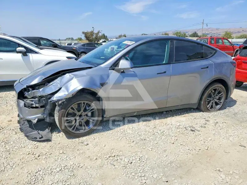 2025 Tesla Model Y фото