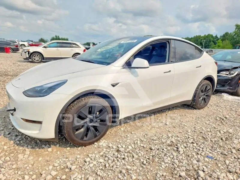 2025 Tesla Model Y photo