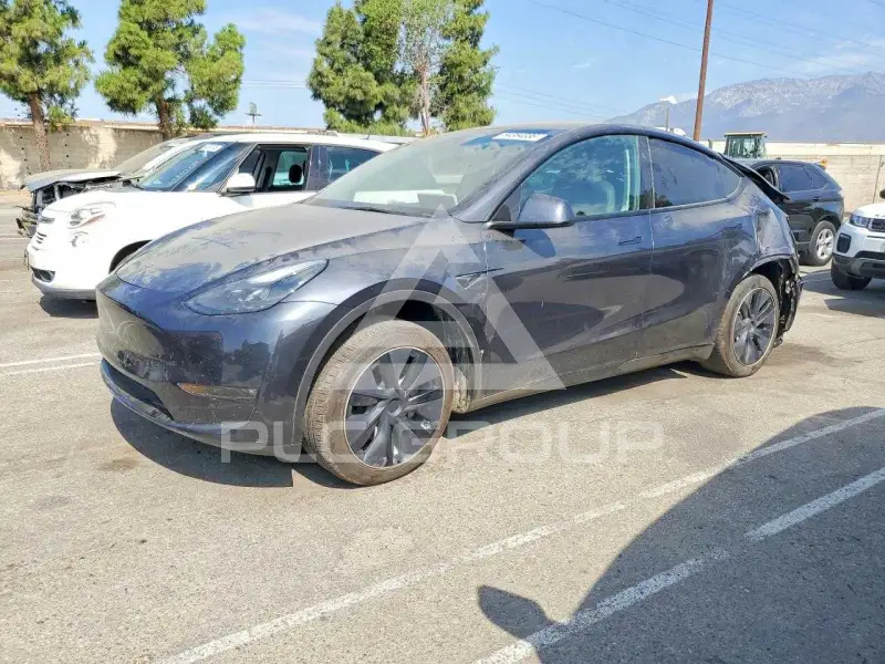 2025 Tesla Model Y photo
