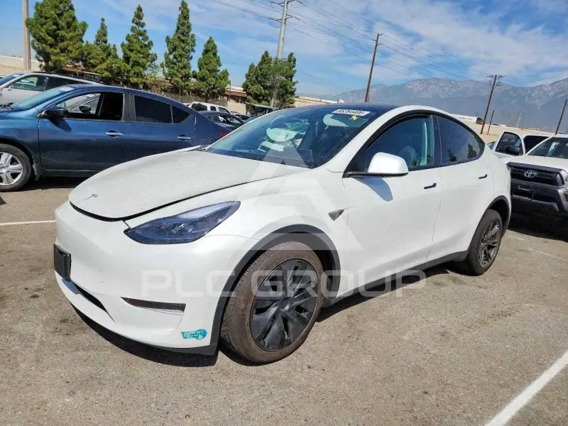 2025 Tesla Model Y фото