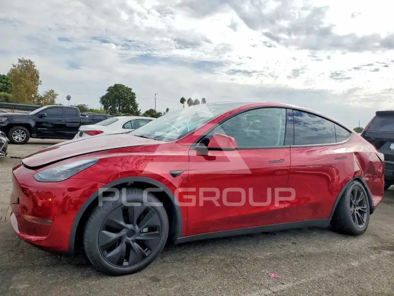 2025 Tesla Model Y photo