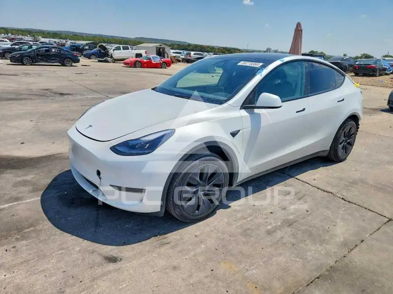 2025 Tesla Model Y photo